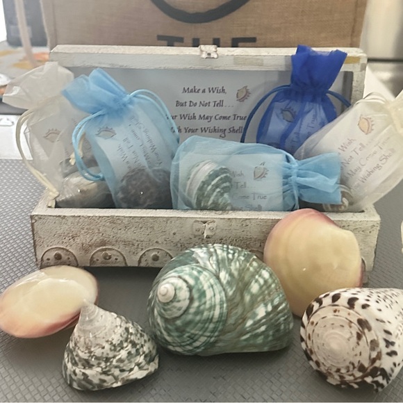 🐚Wishing Shells All Occasions Gift with Card🐚 - Picture 4 of 4